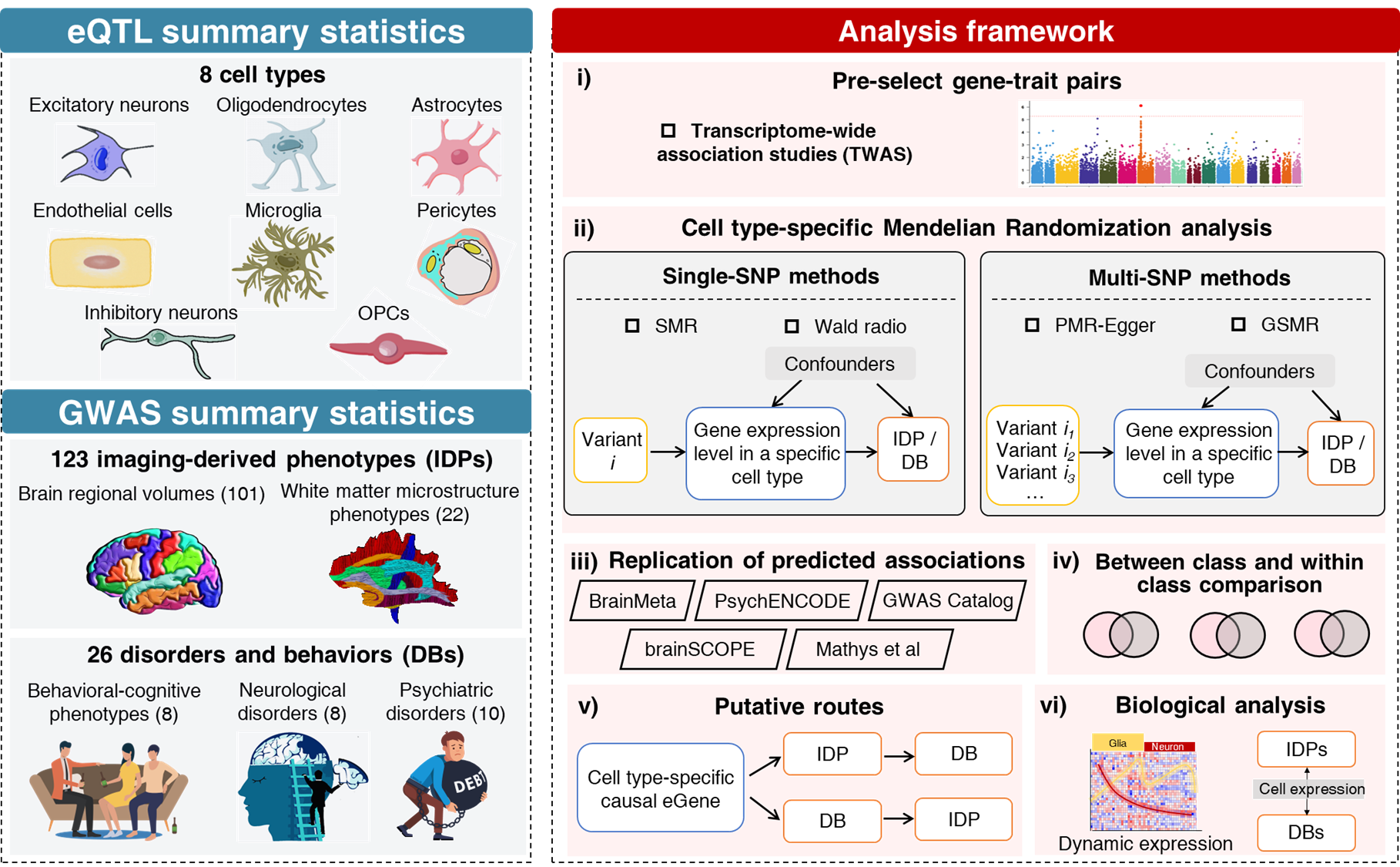 Overview of study
