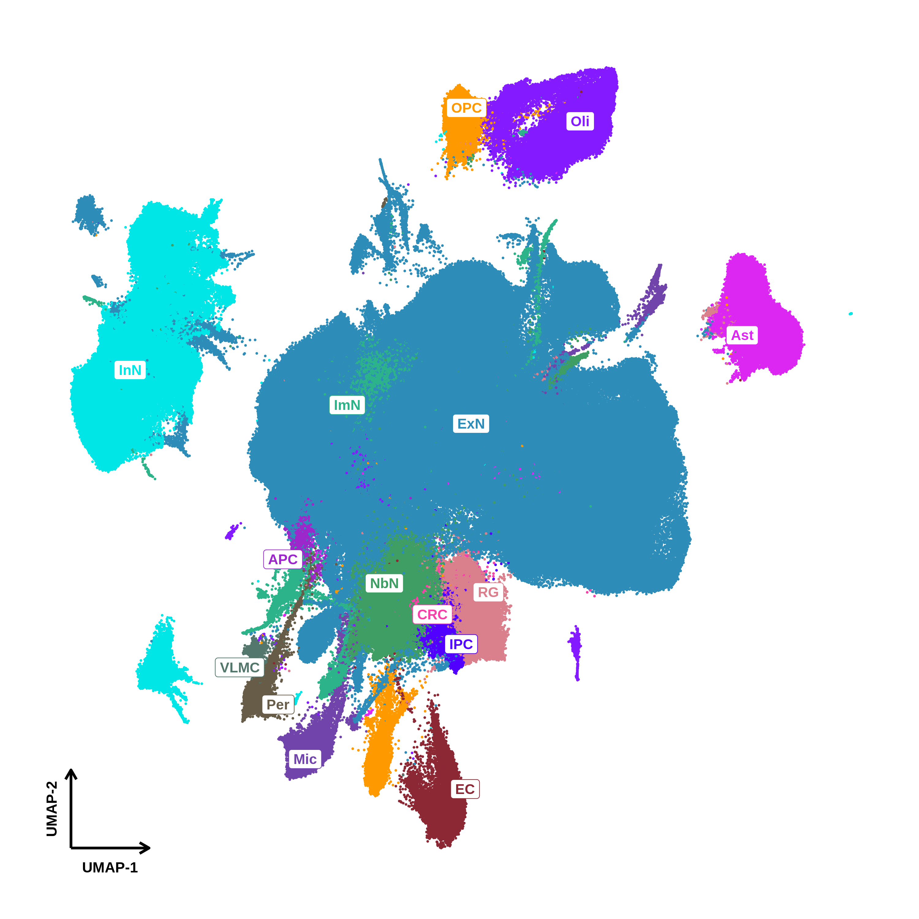 STAB 2 - Brain Cell Atlas