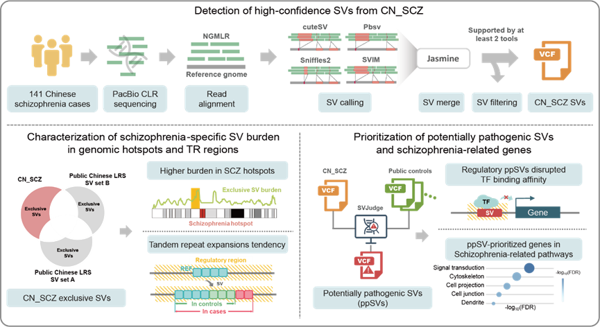 1765344028485061980.png image.png