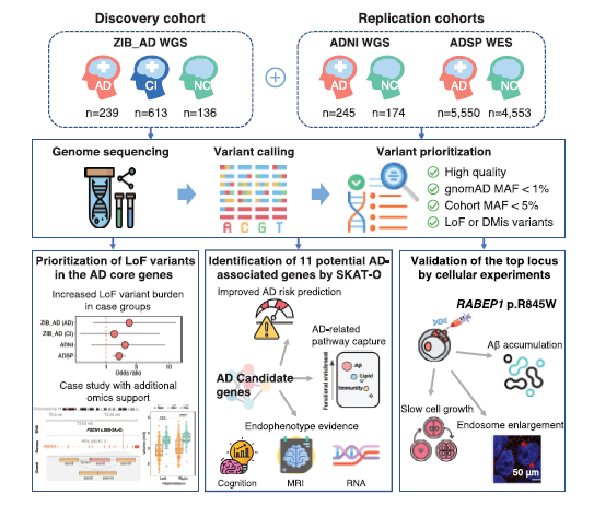 1765422306099091995.png 图片.png